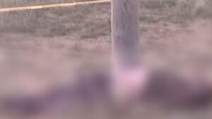 Imagen de la víctima tirada al lado del poste