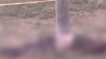 Imagen de la víctima tirada al lado del poste