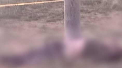 Imagen de la víctima tirada al lado del poste