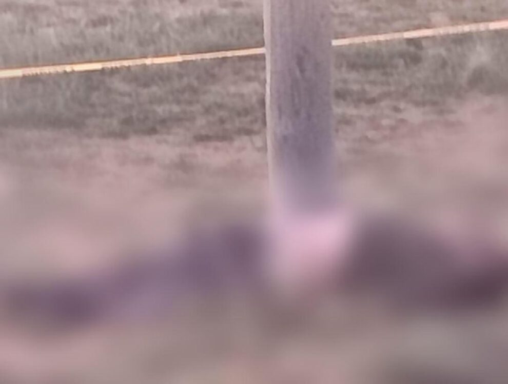 Imagen de la víctima tirada al lado del poste