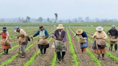 Campesinos sembrando la tierra