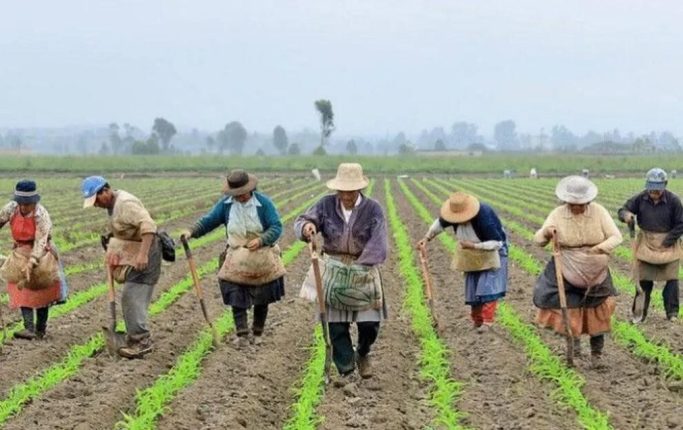 Campesinos sembrando la tierra