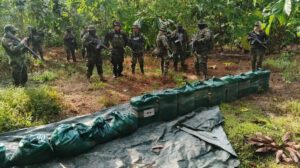 La droga secuestrada por la fuerza antidroga en el operativo