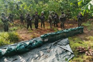 La droga secuestrada por la fuerza antidroga en el operativo