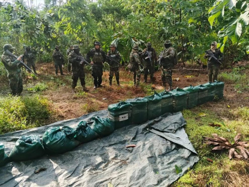 La droga secuestrada por la fuerza antidroga en el operativo