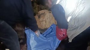 Imagen de los funcionarios recogiendo los cuerpos