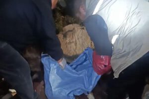 Imagen de los funcionarios recogiendo los cuerpos