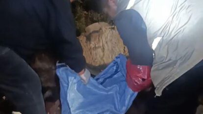 Imagen de los funcionarios recogiendo los cuerpos