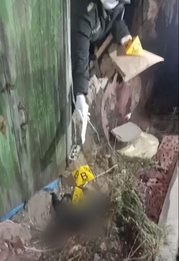 Recolectando datos de cómo se encontraban los animales