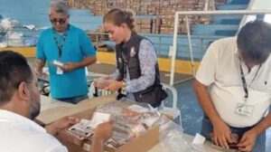 Personas verificando maletas electorales