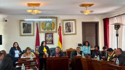 Pleno del concejo