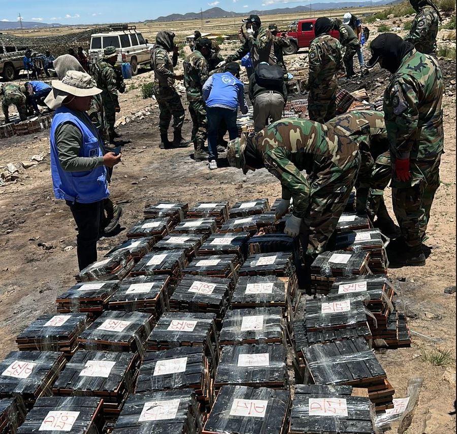 Imagen de la mercadería incautada