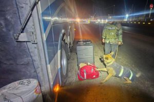 El can señala la maleta con contenido illegal