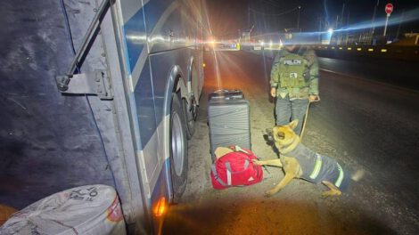 El can señala la maleta con contenido illegal
