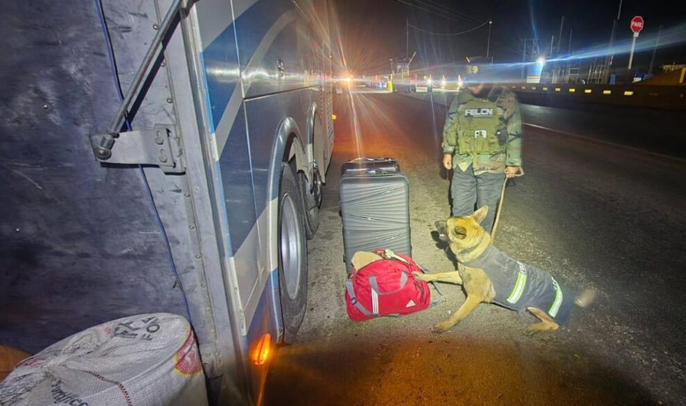 El can señala la maleta con contenido illegal