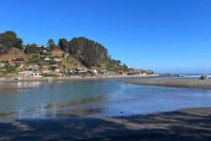 la mala gestión ecológica de los lagos