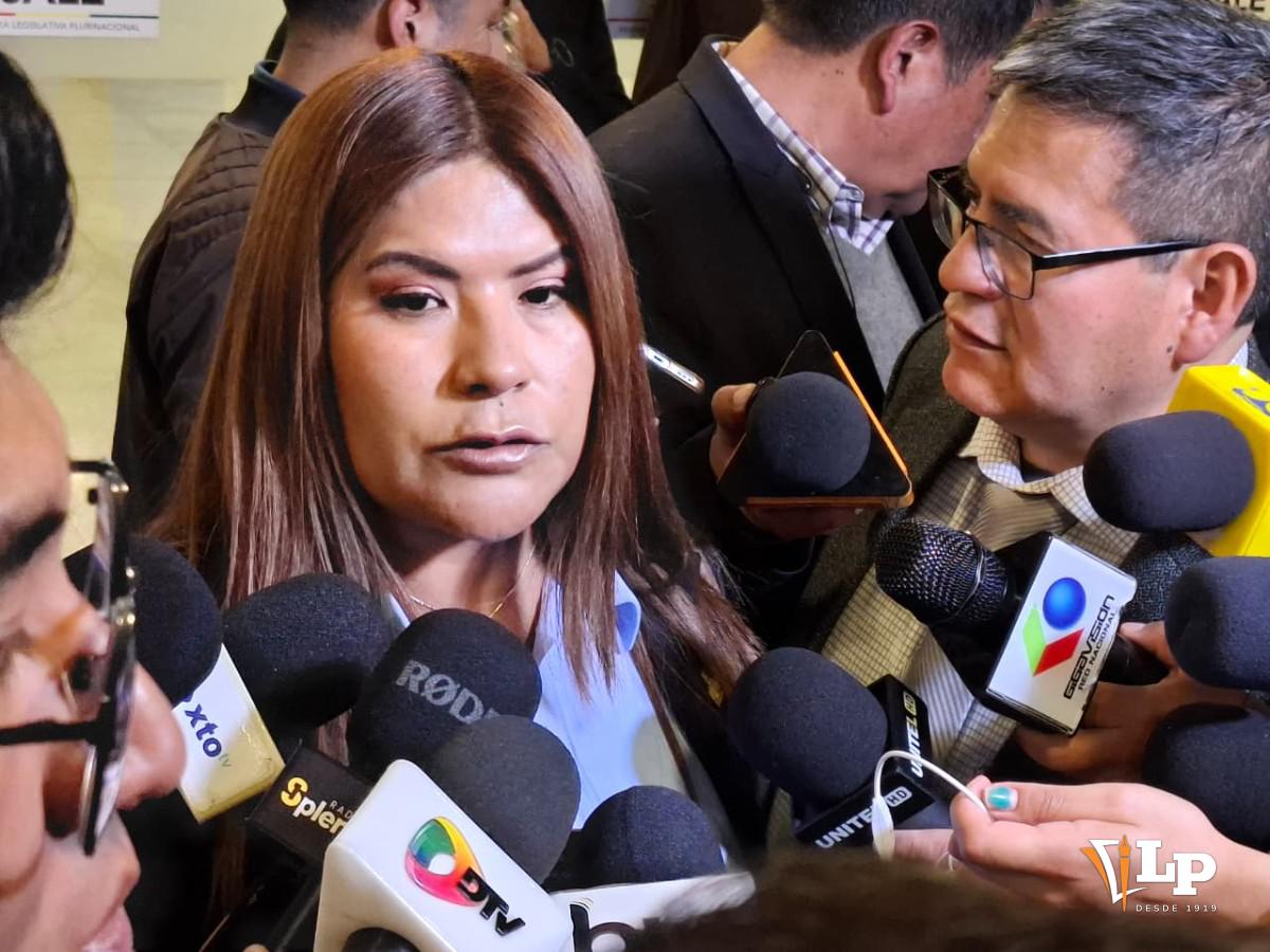 La diputada Pinto en conferencia de prensa