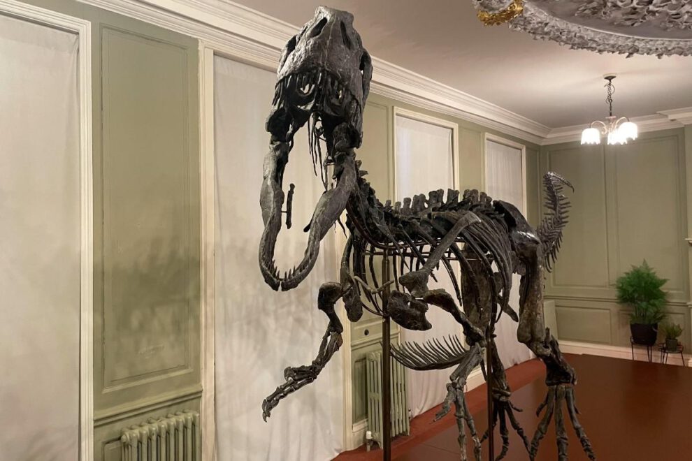 Esqueleto de un dinosaurio