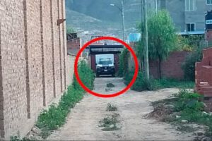 Personal de Homicidios hizo el levantamiento de los restos mortales del policía