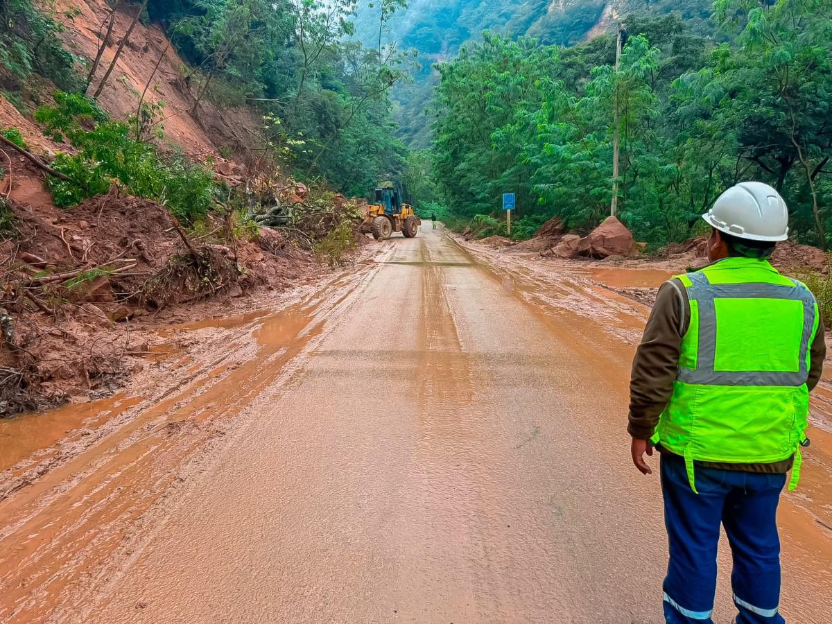 Un operario de la ABC, con equipo de seguridad, observa un tramo de la carretera inundado y cubierto de lodo