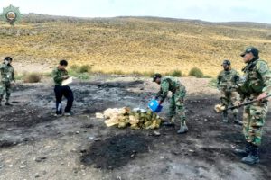 Imagen del momento de la incineración de la marihuana