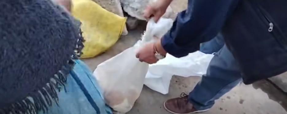 Efectivos de la Intendencia Municipal de Cochabamba ven las bolsas decomisadas que contenian animales vivos