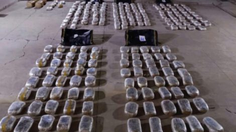 Imagen de los paquetes encontrados por la Felcn