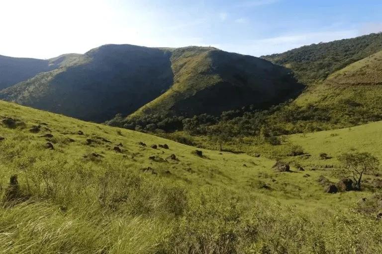 El cerro Manomó está ubicado en la Chiquitania boliviana