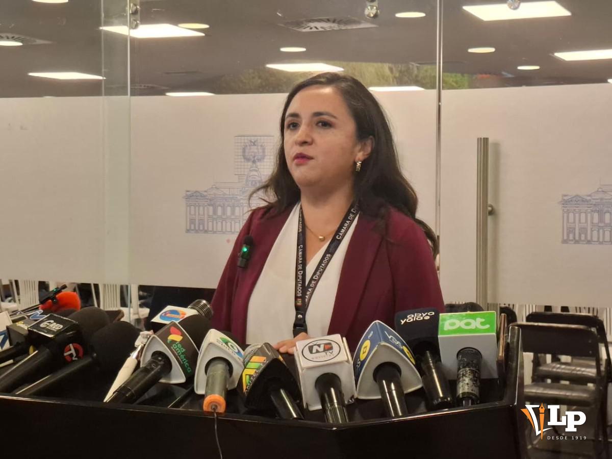 La diputada Vargas en conferencia de prensa