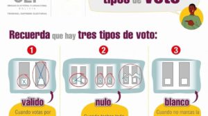 formas de voto en Bolivia