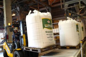 urea