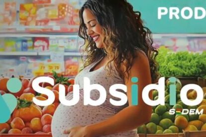 Madre embarazada, Subsidio-Bolivia