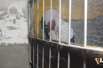 Imagen del sujeto en la carcel