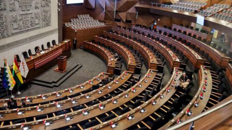 El pleno de la Asamblea Legislativa Plurinacional