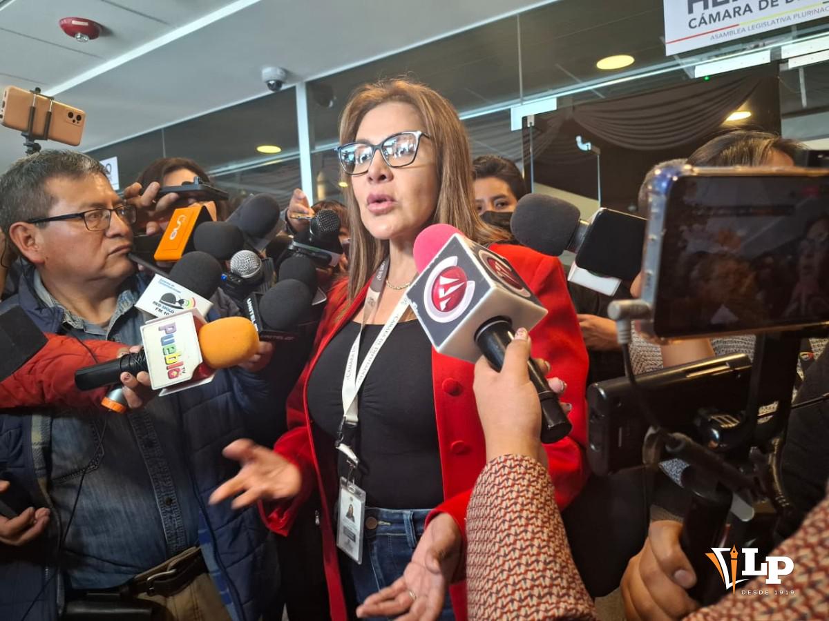 La diputada Rivero en conferencia de prensa