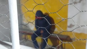 Imagen de uno de los detenidos