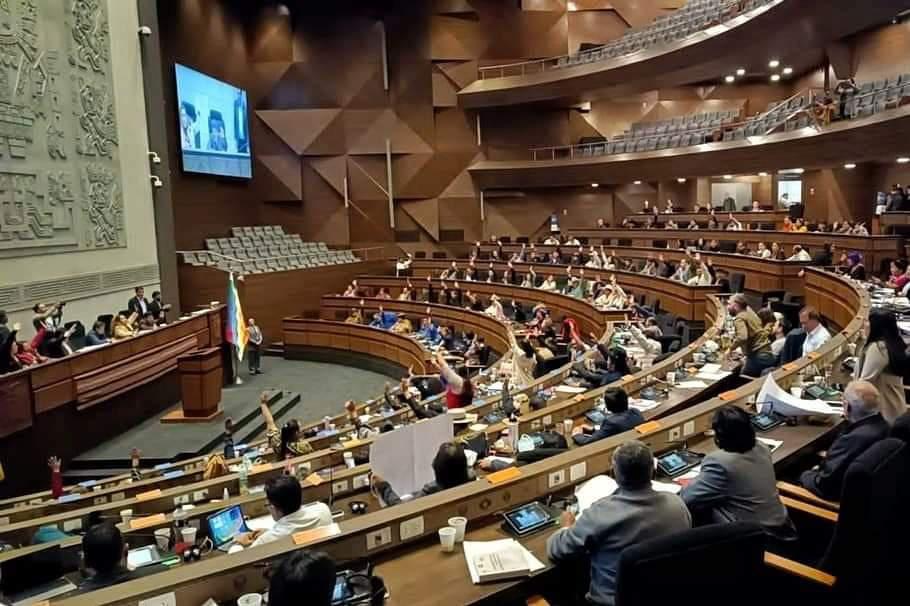 El pleno de la Asamblea Legislativa Plurinacional