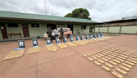 confiscó 426 paquetes de marihuana