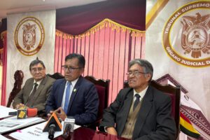 Autoridad judiciales