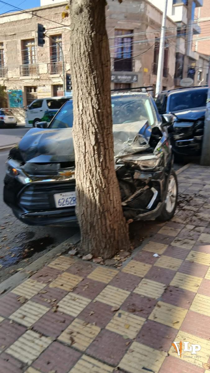 El otro motorizado chocó contra el árbol