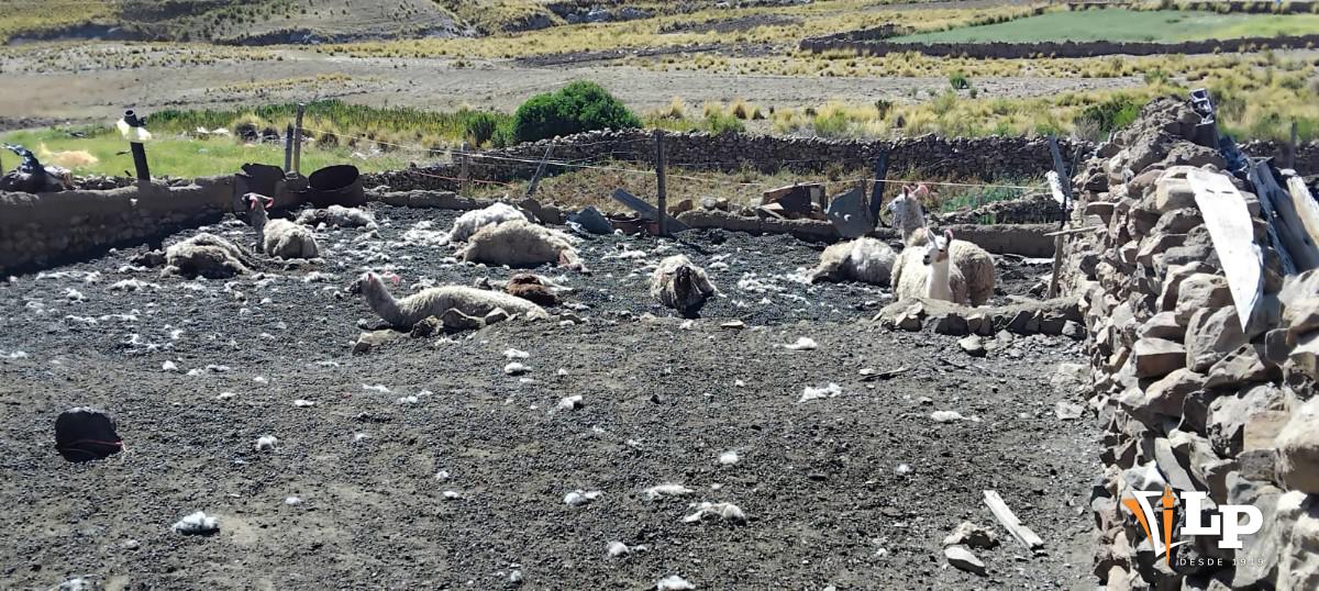 Imagen de como quedó la granja