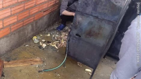 Imagen del carro hamburguesero