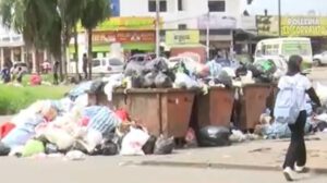 Los contenedores del Sector A están desbordados de residuos sólidos