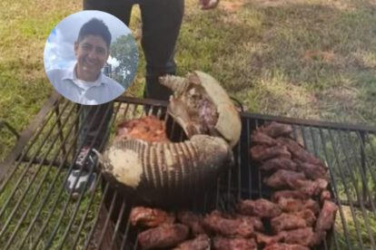 Diputado armadillo