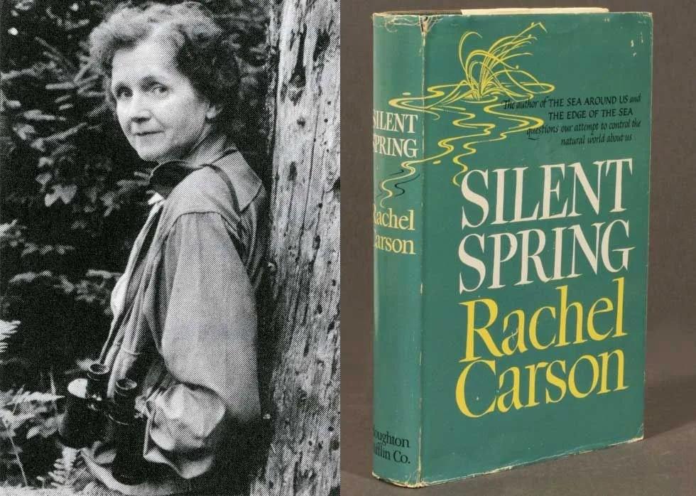 La científica Rachel Carson, y su libro Primavera silenciosa