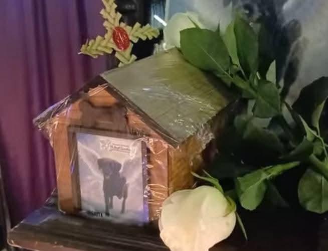 Imagen del velorio de la perrita “negrita”