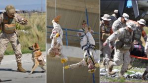 Integrantes de los equipos de salvamento y rescate de las Fuerzas Armadas (SAR-FAB) demuestran su entrenamiento