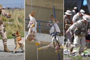 Integrantes de los equipos de salvamento y rescate de las Fuerzas Armadas (SAR-FAB) demuestran su entrenamiento