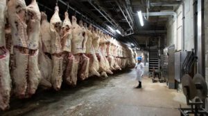 exportación de carne hacia Chile