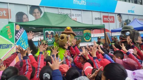 Seguridad ciudadana